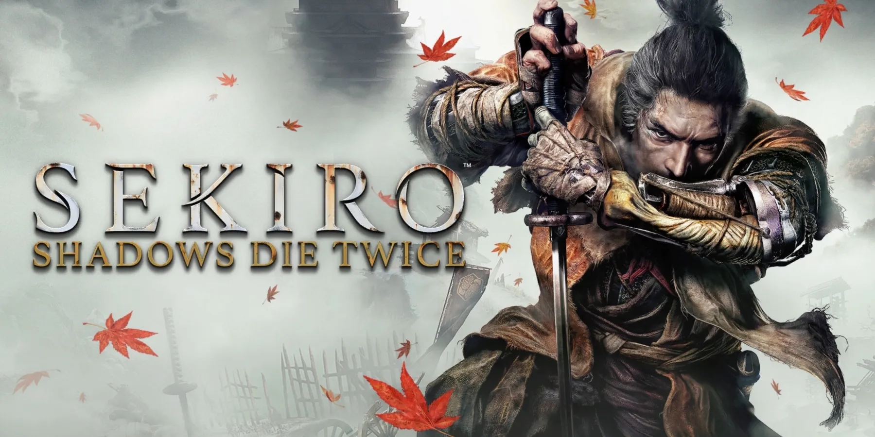 Sekiro: Shadows Die Twice Anime Adaptation Rumors Gain Traction with New Domain Registration